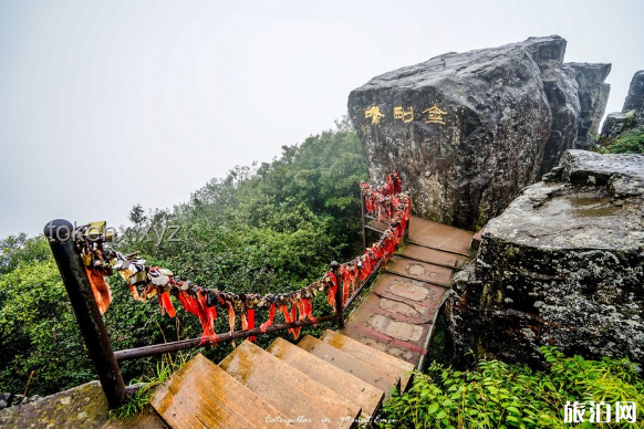 爬一次峨眉山到底有多难：实用登山指南